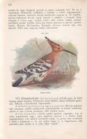 Paszlavszky József: 
(Az állattan kézikönyve. A középiskolák felsőbb osztályai számára. Három kőnyo...