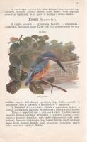 Paszlavszky József: 
(Az állattan kézikönyve. A középiskolák felsőbb osztályai számára. Három kőnyo...