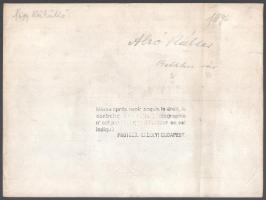 1896 Az alsórákosi Sükösd-Bethlen-kastély (Erdély), hátoldalon feliratozott fotó, felületén törésnyo...
