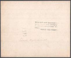 cca 1910-1920 Temesvár, Hunyadi-kastély részlet, hátoldalon feliratozott fotó, 23×28 cm