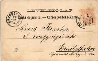 1899 (Vorläufer) Eszék, Essegg, Osijek; Meierhof Bezenica / majorság / manor (EB)