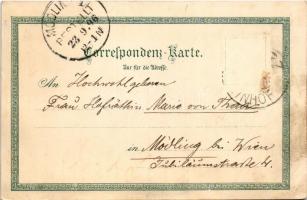 1896 (Vorläufer!!!) Gorizia, Görz, Gorica; Ottmar Zieher Art Nouveau, floral, litho (crease)