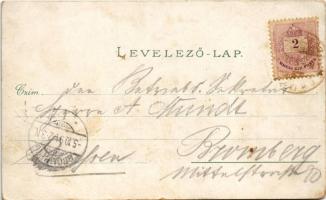 1894 (Vorläufer) Budapest I. Királyi vár és várbazár, Lánchíd. O.Z.M. Art Nouveau, floral, litho (EB...