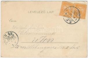 1900 Budapest II. Császár fürdő, belső. Kosmos Art Nouveau, floral, litho (EK)