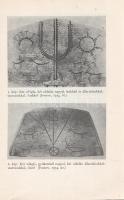 Diószegi Vilmos:
A pogány magyarok hitvilága. (Dedikált.)
Budapest, 1967. Akadémiai Kiadó (Akadémi...