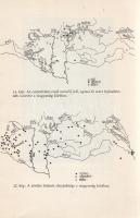 Diószegi Vilmos:
A pogány magyarok hitvilága. (Dedikált.)
Budapest, 1967. Akadémiai Kiadó (Akadémi...