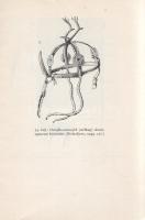 Diószegi Vilmos:
A pogány magyarok hitvilága. (Dedikált.)
Budapest, 1967. Akadémiai Kiadó (Akadémi...