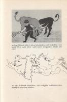 Diószegi Vilmos:
A pogány magyarok hitvilága. (Dedikált.)
Budapest, 1967. Akadémiai Kiadó (Akadémi...
