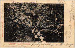 1905 Menyháza, Monyásza, Moneasa; vízesés. Weisz Ignác kiadása / waterfall (fl)