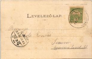 1905 Menyháza, Monyásza, Moneasa; vízesés. Weisz Ignác kiadása / waterfall (fl)