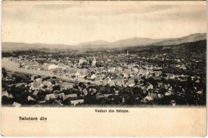 1913 Szelistye, Salistea Sibiului, Saliste; látkép / general view (EK)