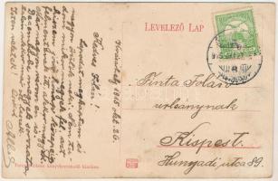 1915 Kézdivásárhely, Targu Secuiesc; M. kir. állami polgári leányiskola. Turóczi István kiadása / gi...