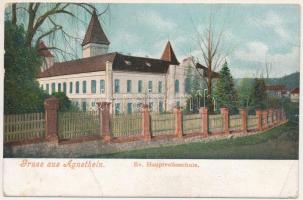 Szentágota, Agnetheln, Agnita; Ev. Hauptvolksschule / Evangélikus népiskola. M. Lang és Fia kiadása / Lutheran school (EB)