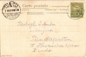 1904 Erdőd, Erdut; Rusevina u Erdutu / Ruine in Erdőd / várromok. Selzer i Rank Art Nouveau, floral,...