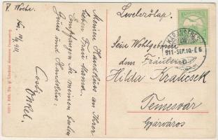 1911 Karánsebes, Caransebes; Vagyonközség palotája, bánáti népviseletek / palace, Transylvanian folk...