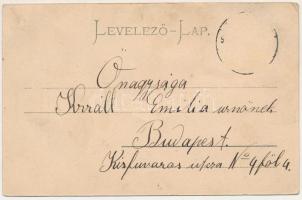 Karánsebes, Caransebes; Üdvözlet a karánsebesi "első Gigerlitől". H. Rosenfeld kiadása / G...