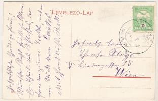 1911 Vajszka, Vajska; Grófi kastély / castle