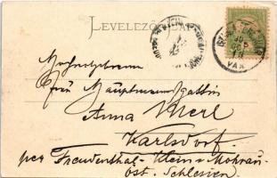 1902 Gyulafehérvár, Alba Iulia; Festungsseite / Fő téri részlet a várral, Hungária szálloda, Takarék...