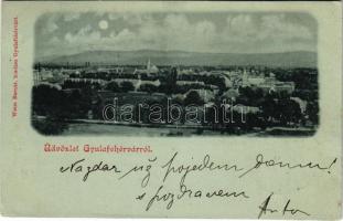 1900 Gyulafehérvár, Alba Iulia; látkép. Weiss Bernát kiadása / general view (EK)