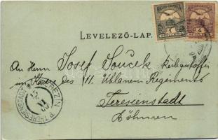 1900 Gyulafehérvár, Alba Iulia; látkép. Weiss Bernát kiadása / general view (EK)