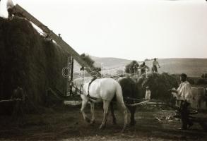 cca 1930-1950 Negatív tartó tasakok negatívokkal, 7 tasak
