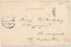 1905 Kolozsvár, Cluj; Unió utca, Ptaky Béla, Mestitz Mihály és Fiai, Weisz Adolf üzlete. Kováts P. F...