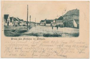 1905 Sárkány, Schirkonyen, Sercaia (Brassó); Im Altthale / utca. F. Schnell kiadása / street