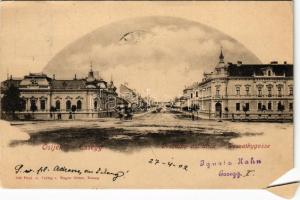1902 Eszék, Essegg, Osijek; Deszathy-eva ulica / utca / street (EM)