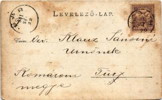 1901 Alcsút, Főhercegi kastély. photo (vágott / cut)