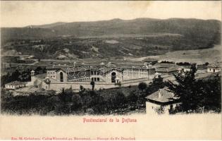 Doftana, Penitenciarul / Romanian Bastille, prison