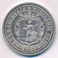 Bognár György (1944-) 1988. "MÉE Nógrád megye - Nógrádi várak sorozat Buják vára / Sigillum Com...