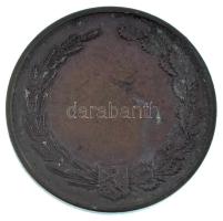 DN "Borsod Megye Gazdasági Egylete" kétoldalas bronz emlékérem (45mm) T:XF patina, ü., apr...