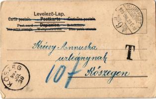 1903 Török Irma + Porto (fa)