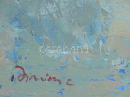 Sebastian Danion (1969 -): Bretagne. Olaj, vászon, jelzett, 70x60 cm