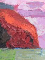 Sebastian Danion (1969 -): Bretagne. Olaj, vászon, jelzett, 70x60 cm