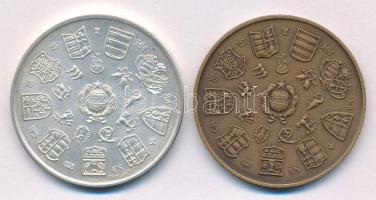 Csúcs Viktória (1934-) 1979. "Magyar Éremgyűjtők Egyesülete 1969-1979" Ag és bronz emlékér...