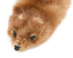 Nyest sál, h: 75 cm