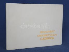 Budapest Székesfőváros Gázművei. (A székesfőváros törvényhatósági bizottsága és tanácsa tagjainak az...