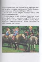 Rekai, Kati:
The Adventures of Mickey, Taggy, Puppo and Cica and how they discover Italy, and the v...