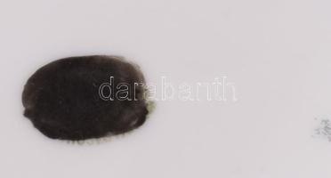 Schlaggenwald Haas & Czjzek antik díszesen festett csésze alátéttel. Jelzett, kopással, d: 13,5 ...