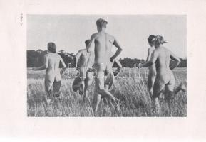 Wilke, Hermann:
Dein ,,Ja" zum Leibe! Sinn und Gestaltung Deutscher Leibeszucht.
Berlin, (193...