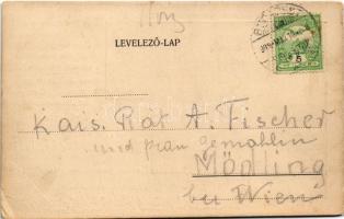 1909 Budapest I. Üdvözlet a "Márvány menyasszonyhoz" címzett vendéglőből, étterem belső, k...