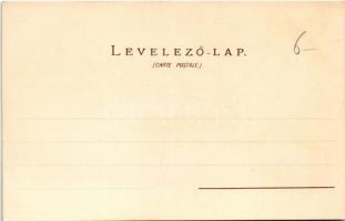 Budapest, Vigadó, Lánchíd, Andrássy út. Gebr. Künzli Nr. 1. Art Nouveau, floral, litho