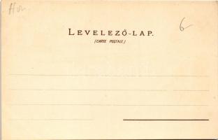 Budapest, Országház (Parlament), Arany szobor. Gebr. Künzli Nr. 6. Art Nouveau, floral, litho