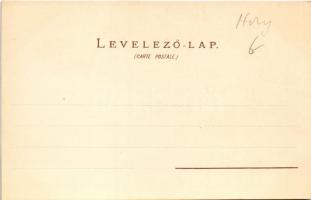 Budapest, Királyi vár, Nyugati pályaudvar, villamos, rakpart. Gebr. Künzli Nr. 3. Art Nouveau, flora...