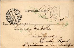 1901 Cegléd, Vigadó. Piros I. kiadása (fl)