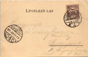 1901 Budapest XII. Svábhegy, gyógyszertár, fogaskerekű vasút sínek. Károlyi György kiadása (apró sza...