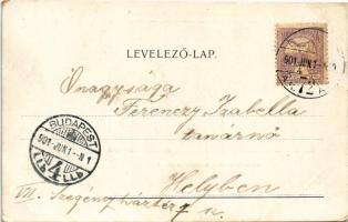 1901 Budapest XIV. Bethesda Diakonissa intézet, női otthon és kórház. Hermina út 53., Hornyánszky V....