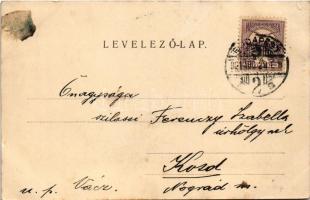 1901 Budapest XII. Svábhegy, Frivaldszky villa és kertje eredeti, neoromantikus állapotában Brein Fe...