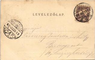 1901 Budapest XII. Svábhegyi fogaskerekű vasútállomás, vonat, gőzmozdony. Divald Károly kiadása (fl)